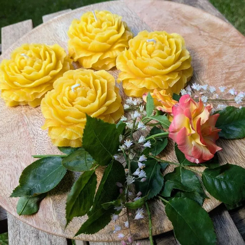Vier flach gegossene Bienenwachs-Rosenkerzen auf Holzscheibe mit echten Rosen