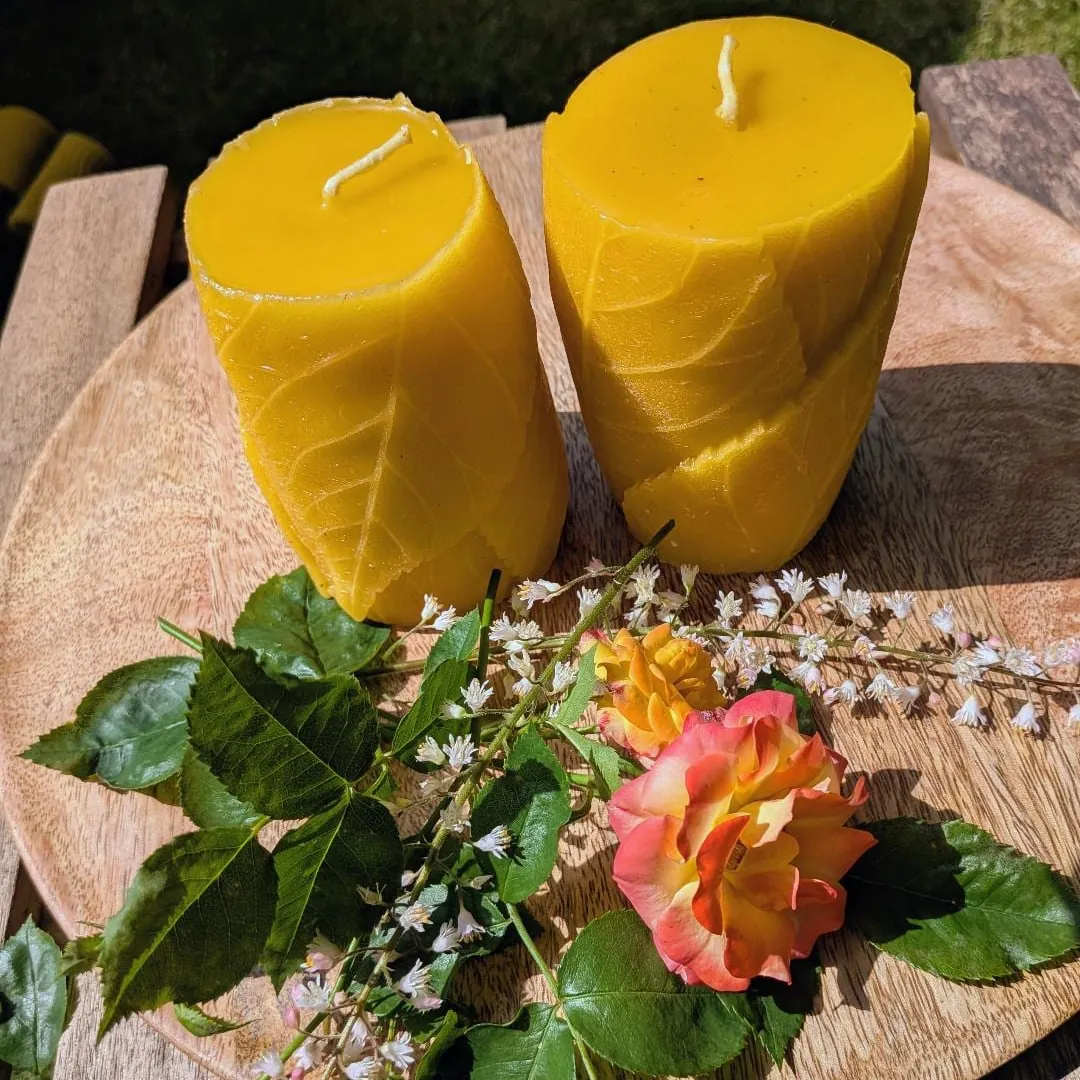 Zwei Bienenwachsstumpen mit eingedrücktem Blattrelief auf Holzscheibe mit Rosen